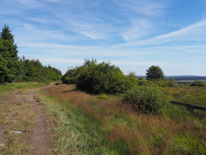 Signal de Botrange (België)